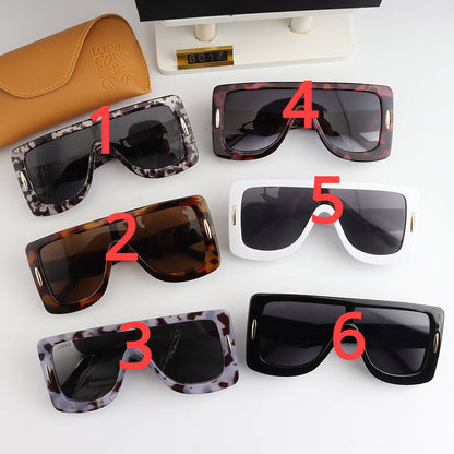 6017 Sunglasses with box