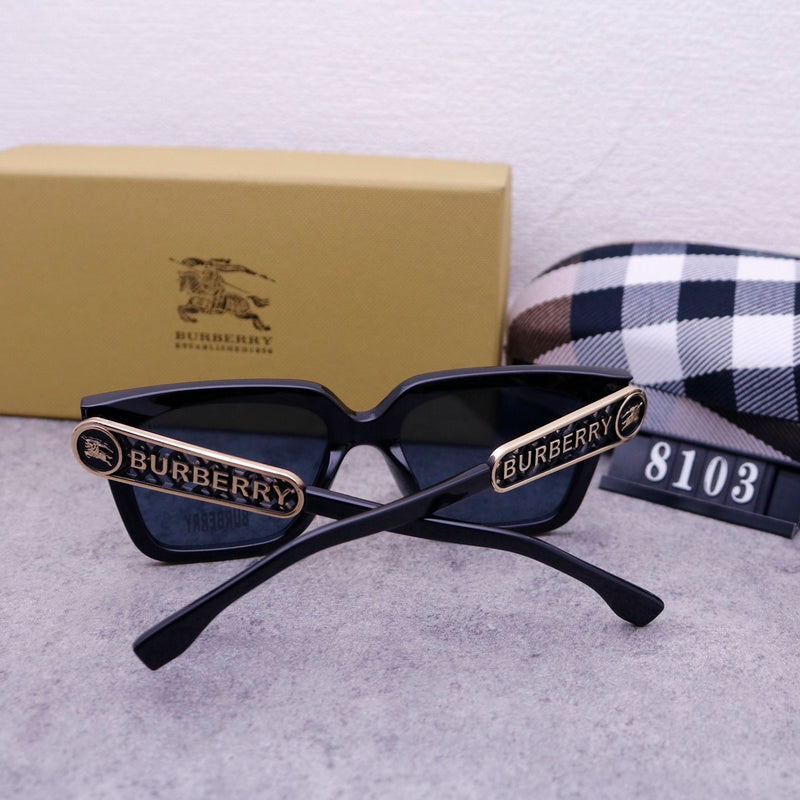 8103 Sunglasses with box