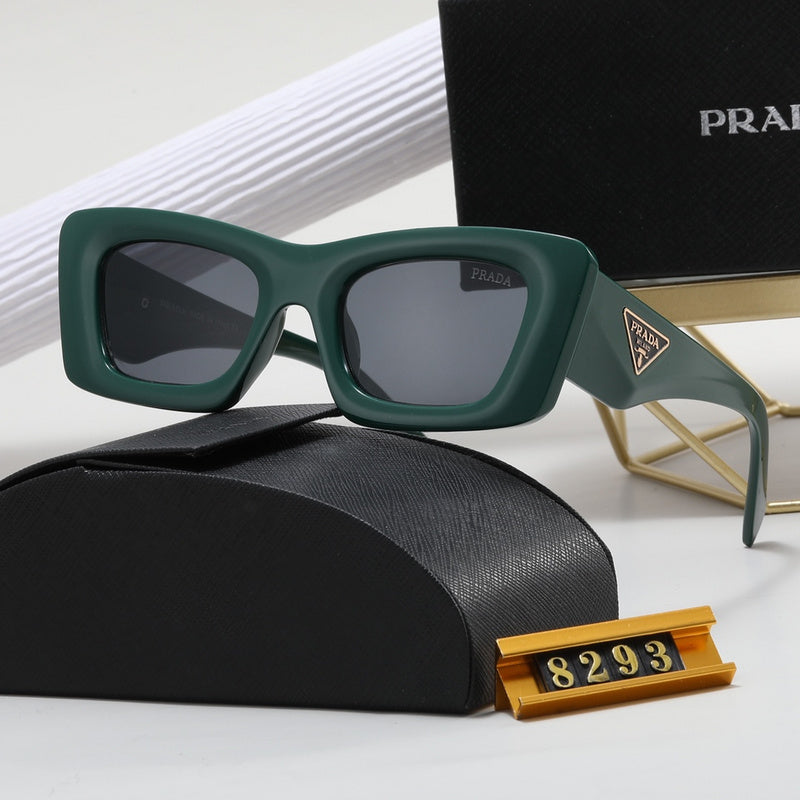 8293 Sunglasses with box