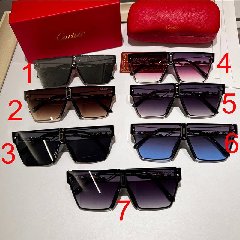 7663 Sunglasses with box