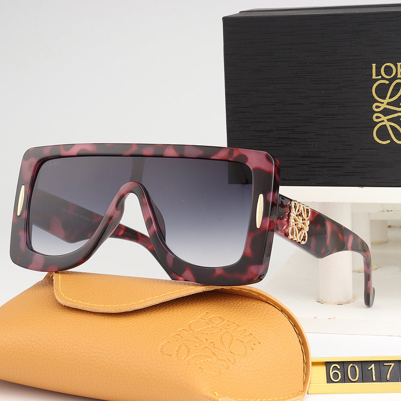 6017 Sunglasses with box