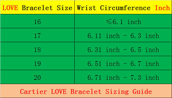 CAB15 brand bangle LOVE bracelet screw bracelet with screwdriver The most classic bangle 316L steel 18K gold plated  Jewelry