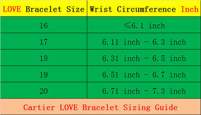 CAB15 brand bangle LOVE bracelet screw bracelet with screwdriver The most classic bangle 316L steel 18K gold plated  Jewelry