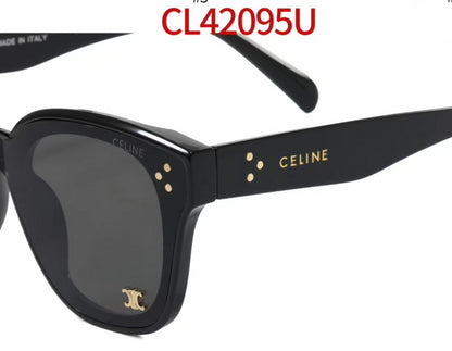 42095  Sunglasses with box