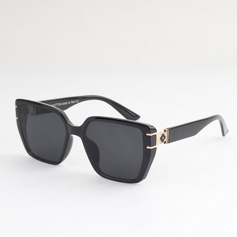 8309 Sunglasses with box