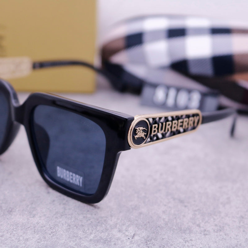 8103 Sunglasses with box