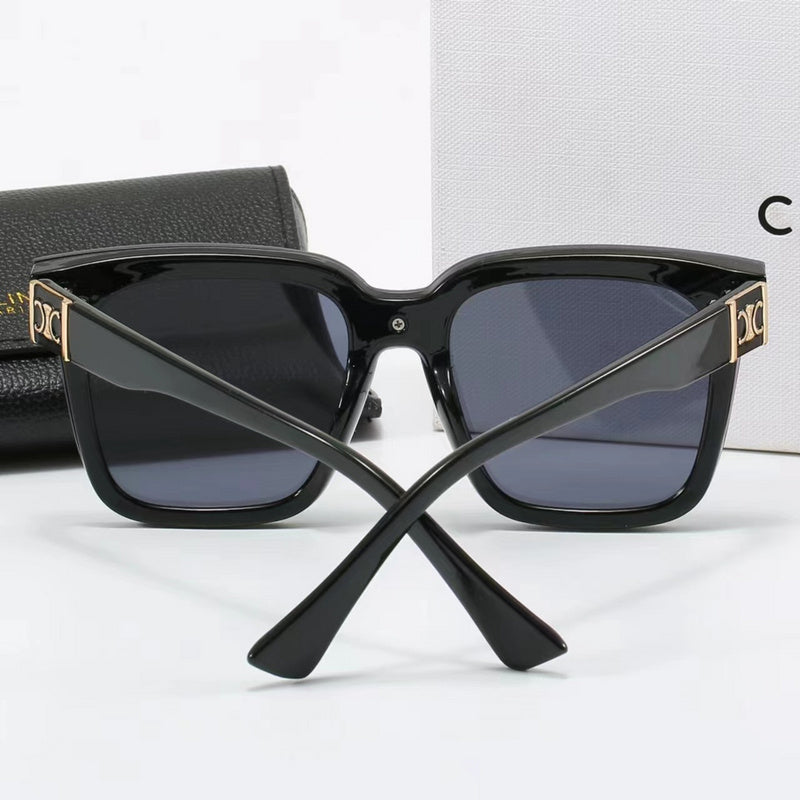 6095  sunglasses with box