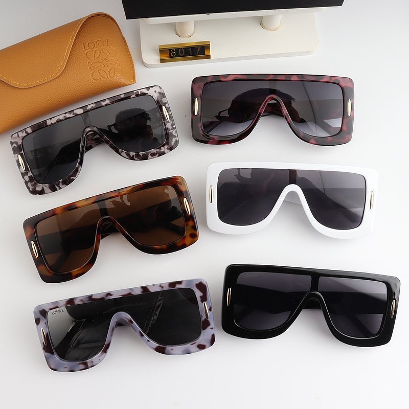 6017 Sunglasses with box