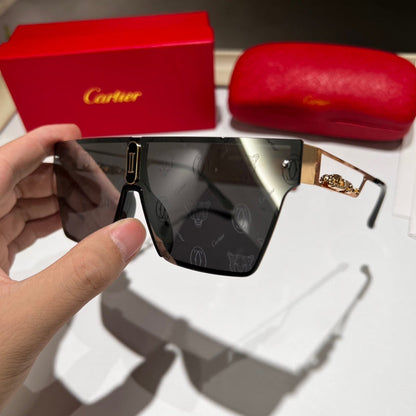 7663 Sunglasses with box