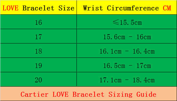 CAB15 brand bangle LOVE bracelet screw bracelet with screwdriver The most classic bangle 316L steel 18K gold plated  Jewelry