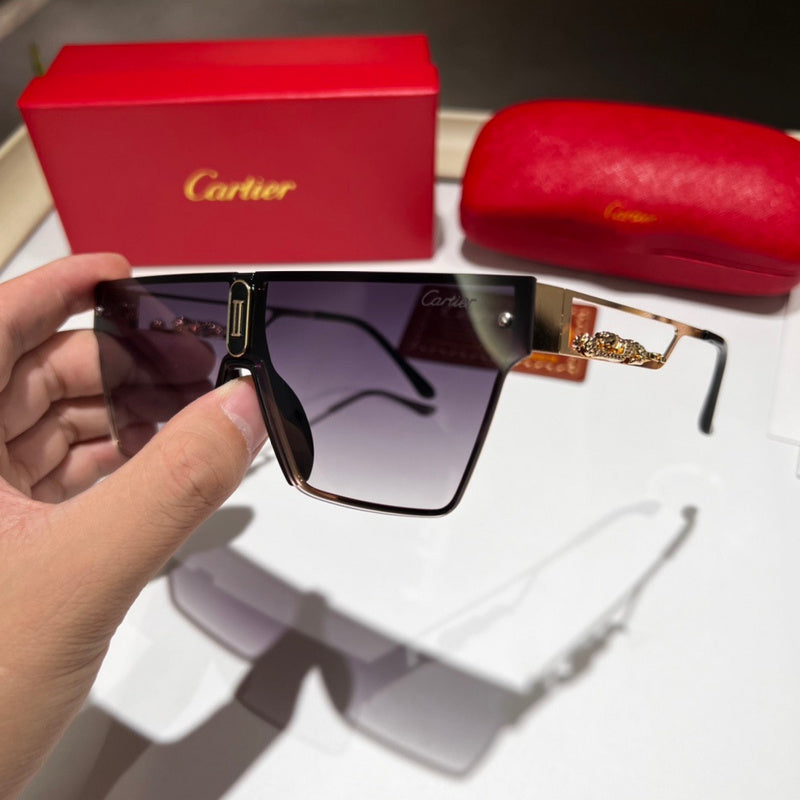 7663 Sunglasses with box