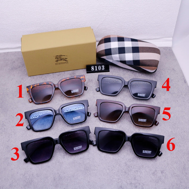 8103 Sunglasses with box